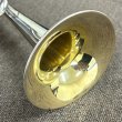 ベル内側が金メッキ加工されていますが、少しうすくなってきています